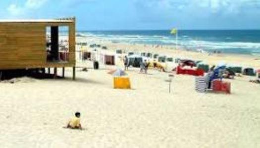 T1 Na Casa Da Quinta S Jose Villa Praia de Mira Ngoại thất bức ảnh