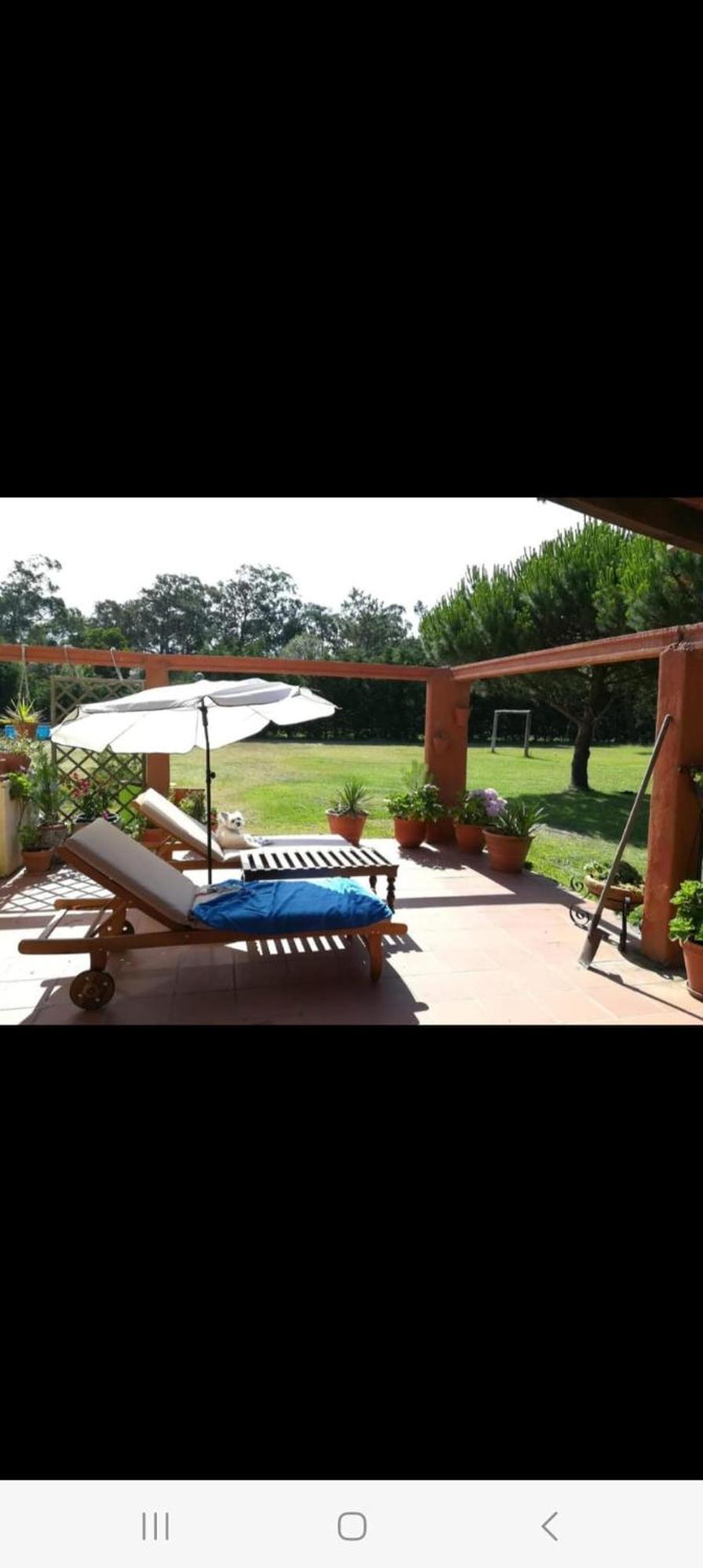 T1 Na Casa Da Quinta S Jose Villa Praia de Mira Ngoại thất bức ảnh